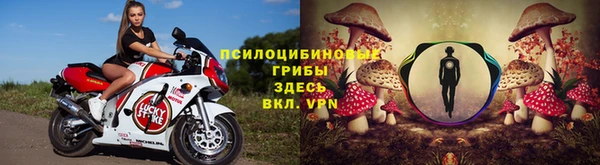 тгк Абинск